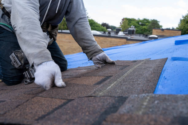 Professional Roofing Contractor in Magnet Cove, AR